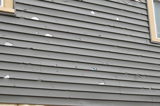 Best Siding for New Construction  in Lofall, WA